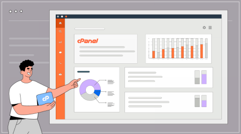 cPanel dashboard used to manage hosting services on a Seattle dedicated server