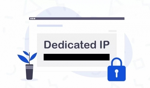 Dedicated IP address for dedicated server hosting Dedicated IP address used with a dedicated server environment