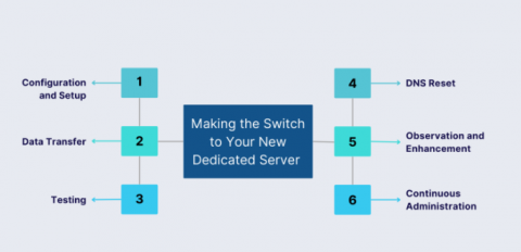 Steps for switching to a new Singapore dedicated server including setup and testing