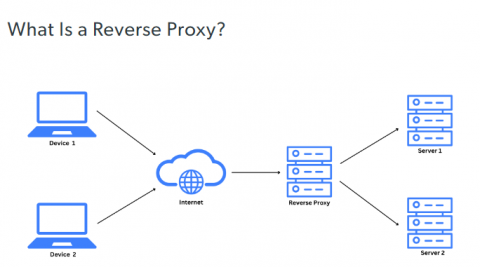 Reverse proxy diagram explaining secure traffic routing Reverse proxy architecture showing traffic flow between users and servers