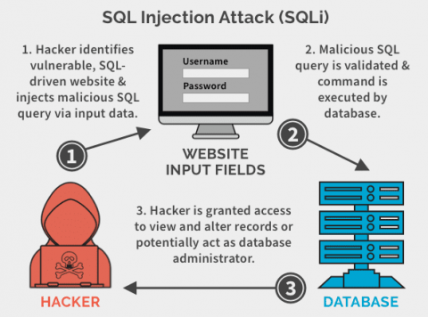 SQL injection attack explanation and risks for Amsterdam dedicated server security