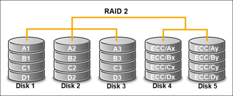 RAID 2 disk configuration using error correction codes on a dedicated server