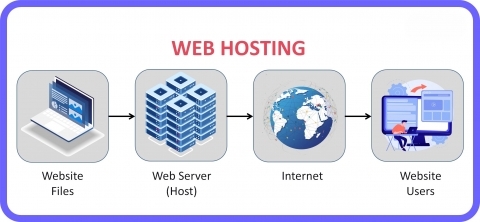 What is web hosting and how websites are delivered online
